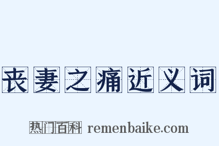 丧妻之痛近义词是什么意思的图片